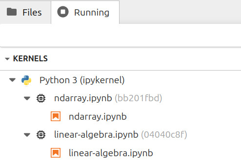 jupyter_notebook_check